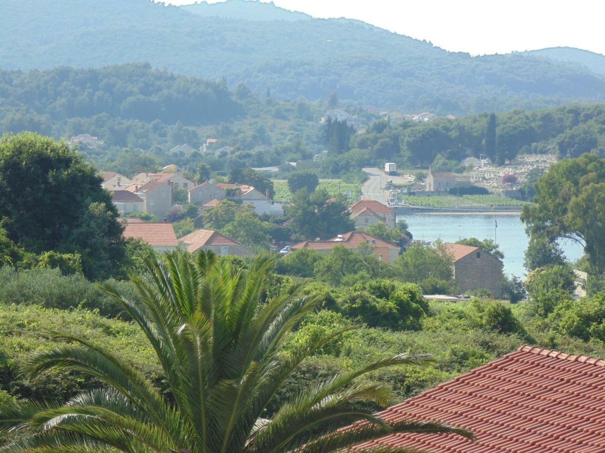 Stone House Apartments Didini Dvori Lumbarda Kültér fotó